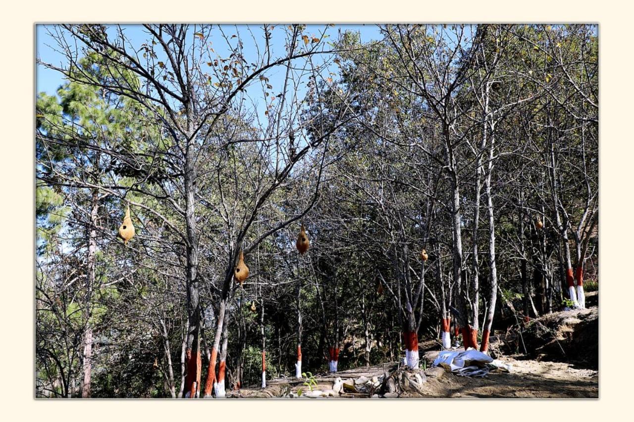 The Ranikhet Continental Exterior foto