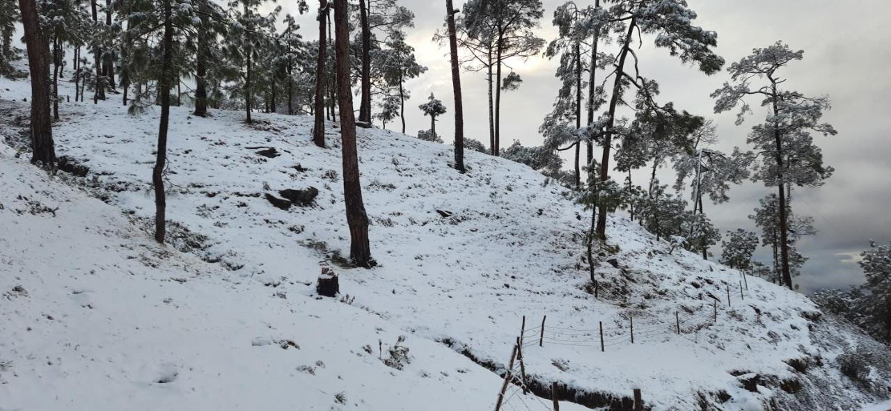 The Ranikhet Continental Exterior foto